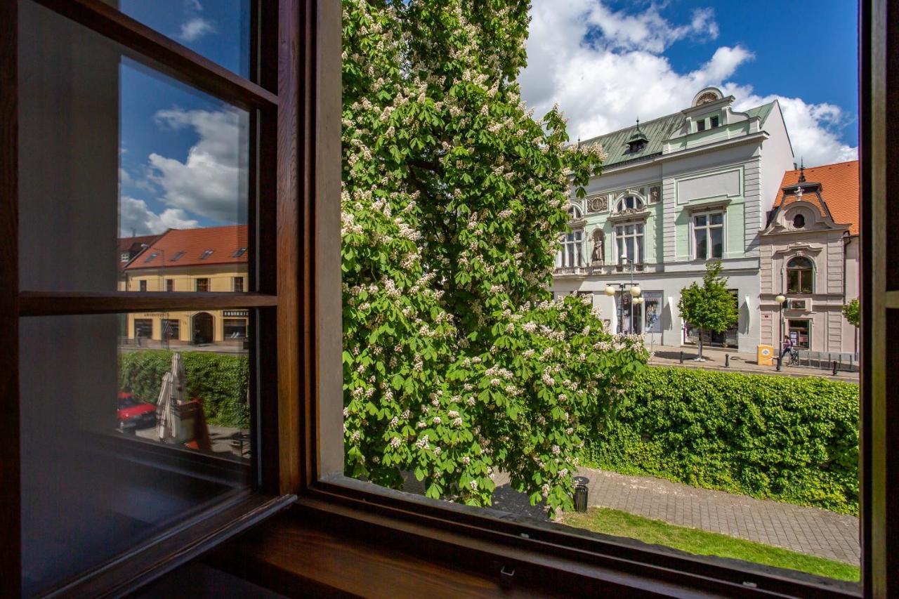 Castle Hotel & Wellness Poděbrady Exteriör bild